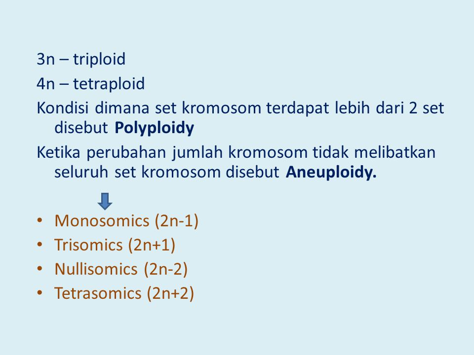3n – triploid 4n – tetraploid. Kondisi dimana set kromosom terdapat lebih dari 2 set disebut Polyploidy.