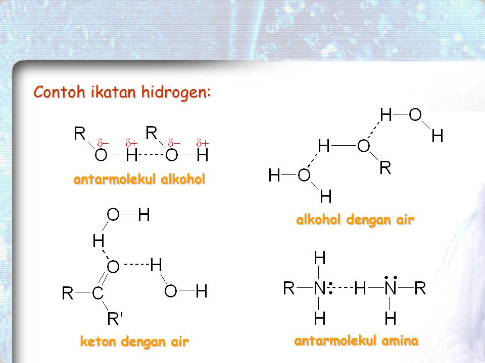 Contoh ikatan hidrogen: