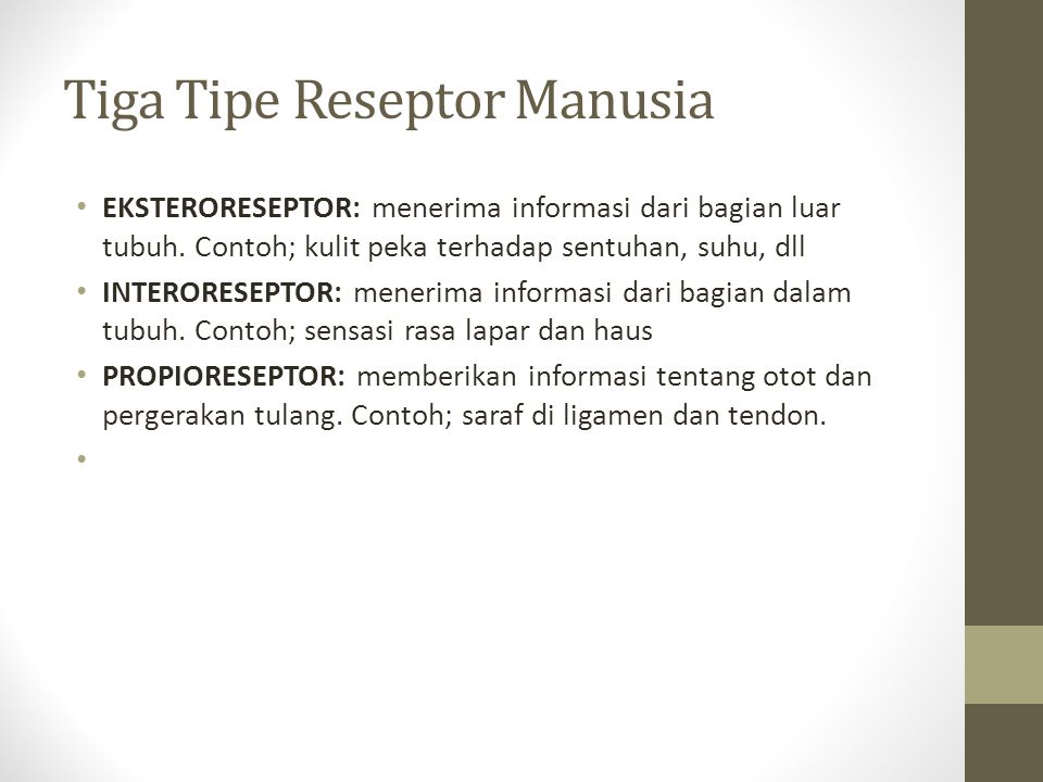 Tiga Tipe Reseptor Manusia