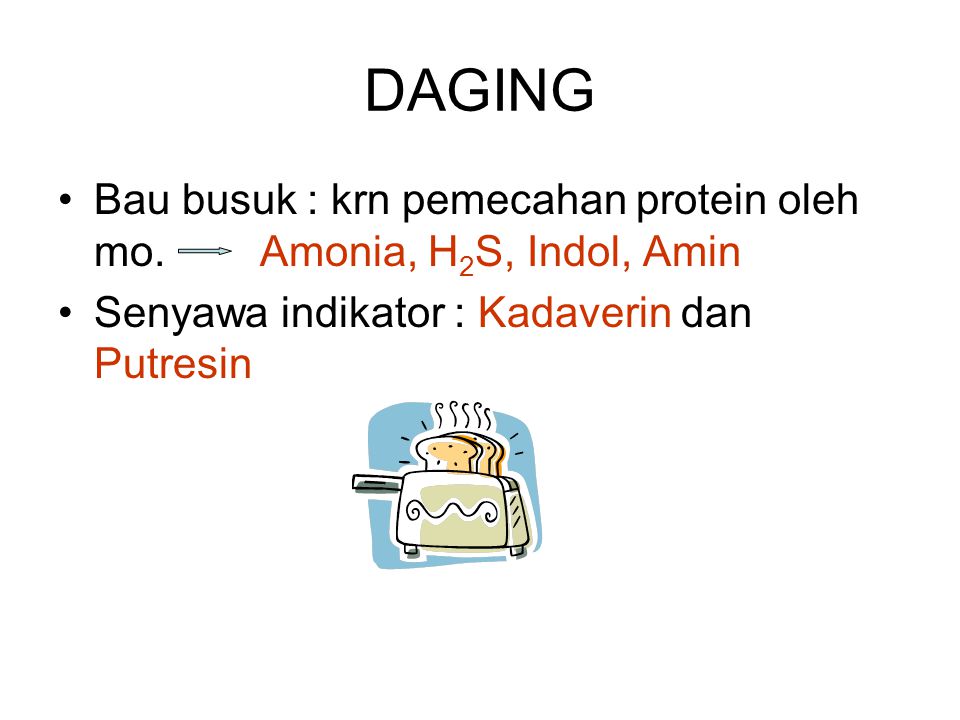 DAGING Bau busuk : krn pemecahan protein oleh mo. Amonia, H2S, Indol, Amin.