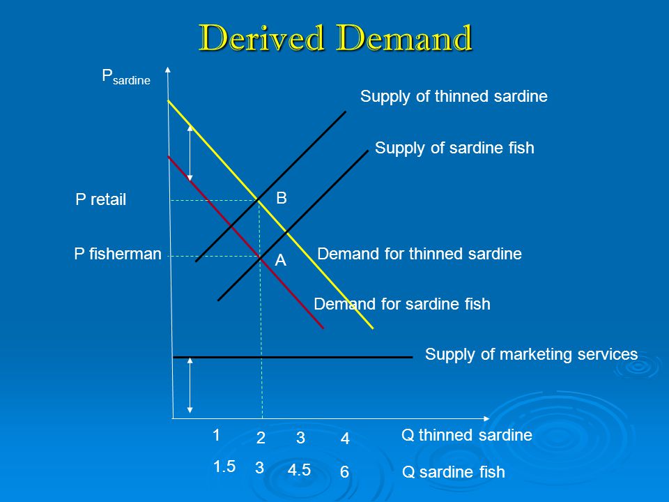Derived Demand Psardine Supply of thinned sardine