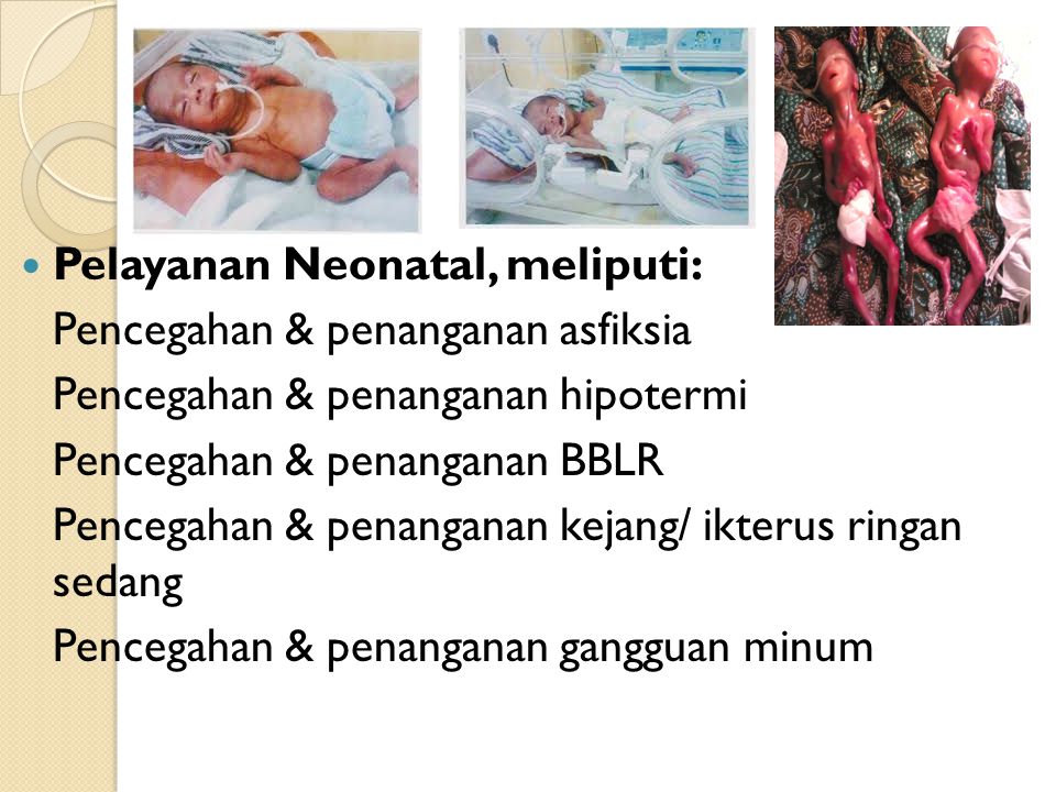 Lanjutan…. Pelayanan Neonatal, meliputi: Pencegahan & penanganan asfiksia. Pencegahan & penanganan hipotermi.