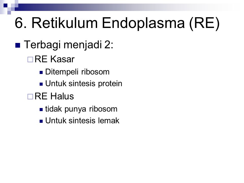 6. Retikulum Endoplasma (RE)