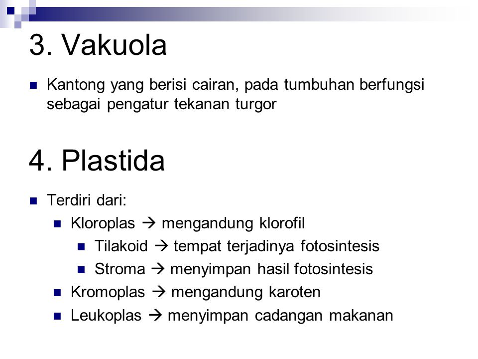 3. Vakuola Kantong yang berisi cairan, pada tumbuhan berfungsi sebagai pengatur tekanan turgor. 4. Plastida.