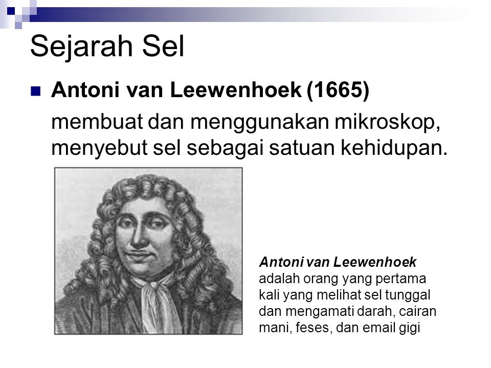 Sejarah Sel Antoni van Leewenhoek (1665)