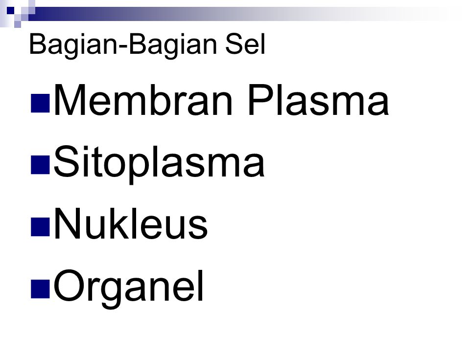 Bagian-Bagian Sel Membran Plasma Sitoplasma Nukleus Organel