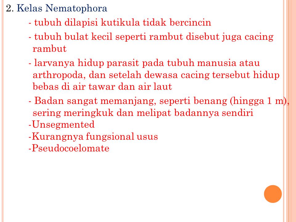 contoh kelas nemathelminthes