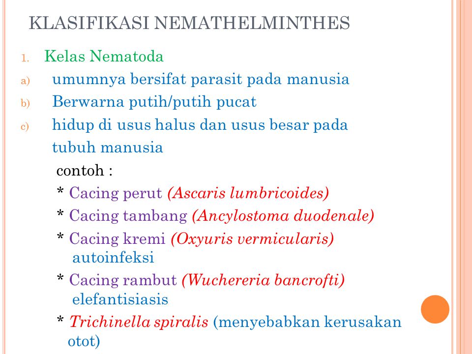 dasar klasifikasi nemathelminthes)