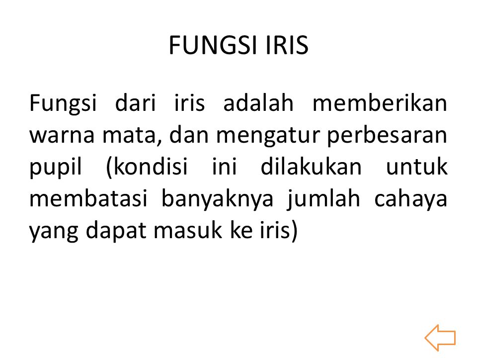 FUNGSI IRIS