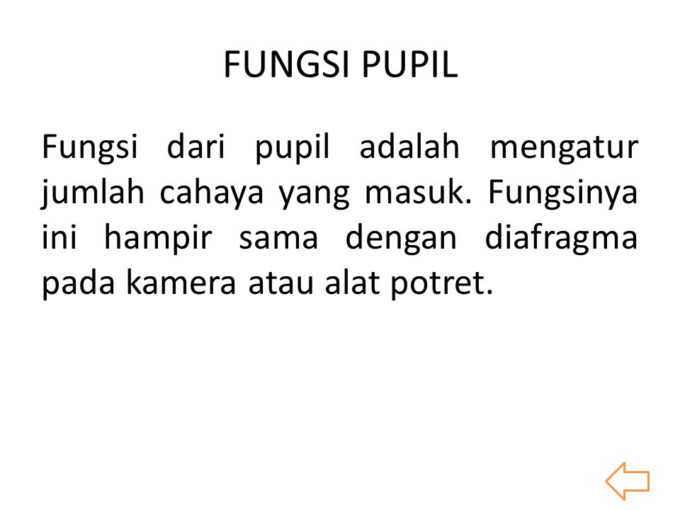 FUNGSI PUPIL Fungsi dari pupil adalah mengatur jumlah cahaya yang masuk.