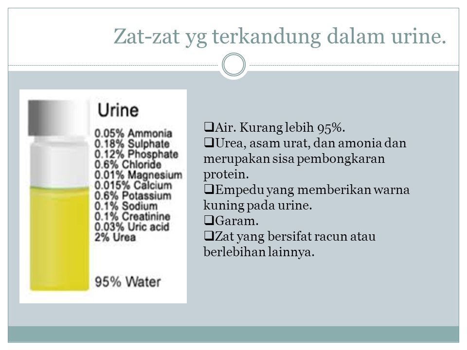 Zat-zat yg terkandung dalam urine.