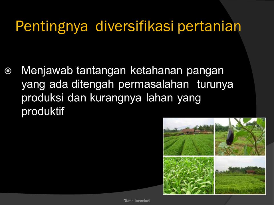 Pentingnya diversifikasi pertanian