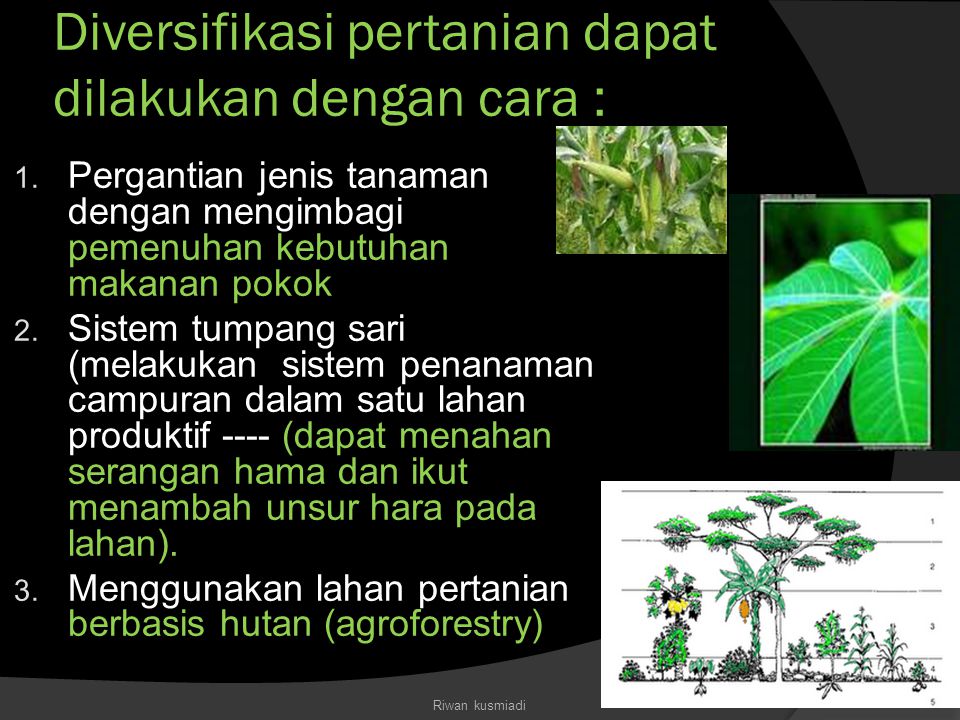 Diversifikasi pertanian dapat dilakukan dengan cara :