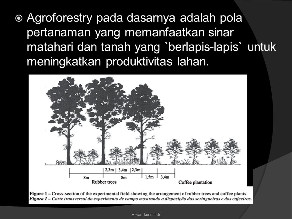 Agroforestry pada dasarnya adalah pola pertanaman yang memanfaatkan sinar matahari dan tanah yang `berlapis-lapis` untuk meningkatkan produktivitas lahan.