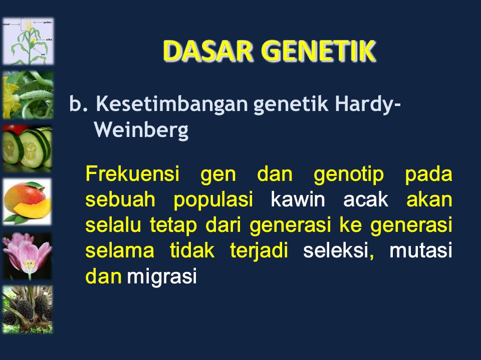 DASAR GENETIK b. Kesetimbangan genetik Hardy- Weinberg