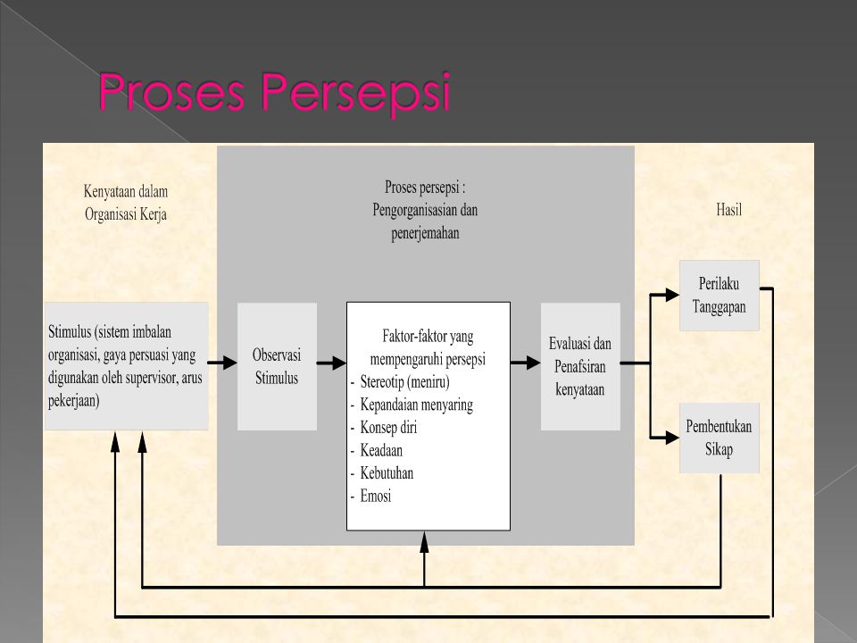 Proses Persepsi