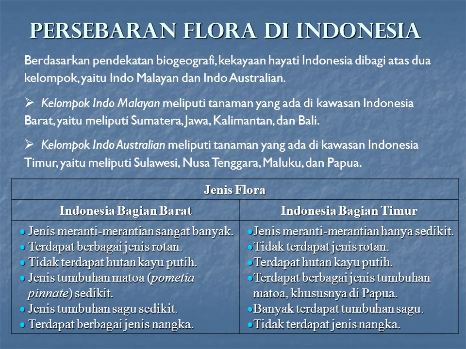 PERSEBARAN FLORA DI INDONESIA