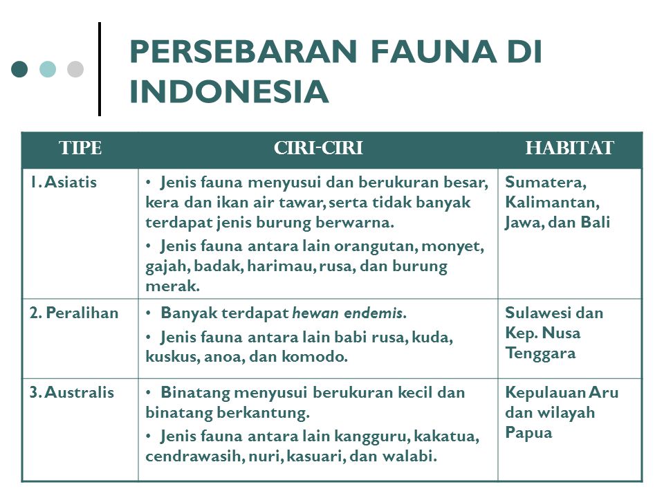 PERSEBARAN FAUNA DI INDONESIA