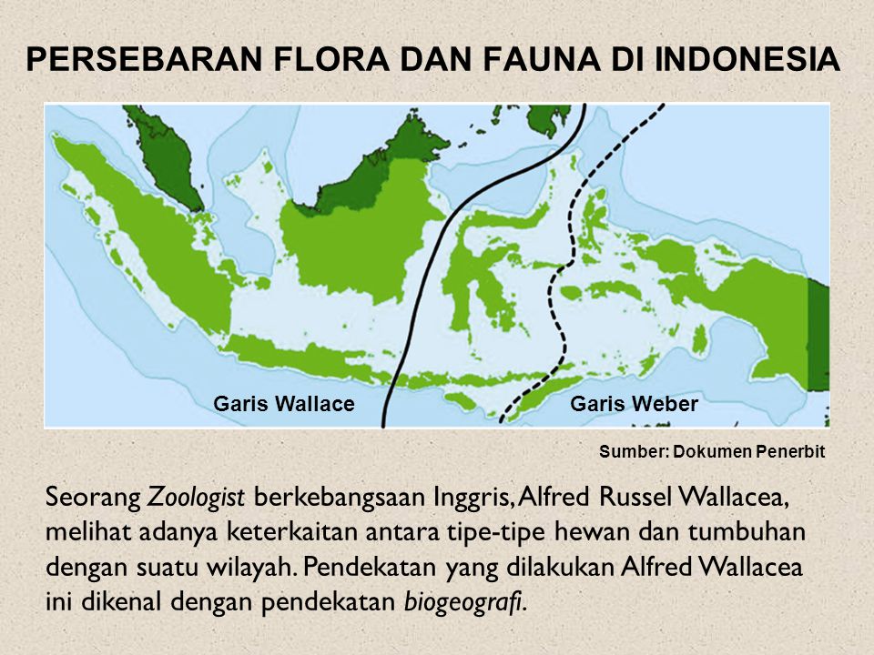 PERSEBARAN FLORA DAN FAUNA DI INDONESIA