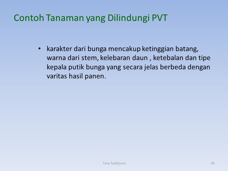 Contoh Tanaman yang Dilindungi PVT
