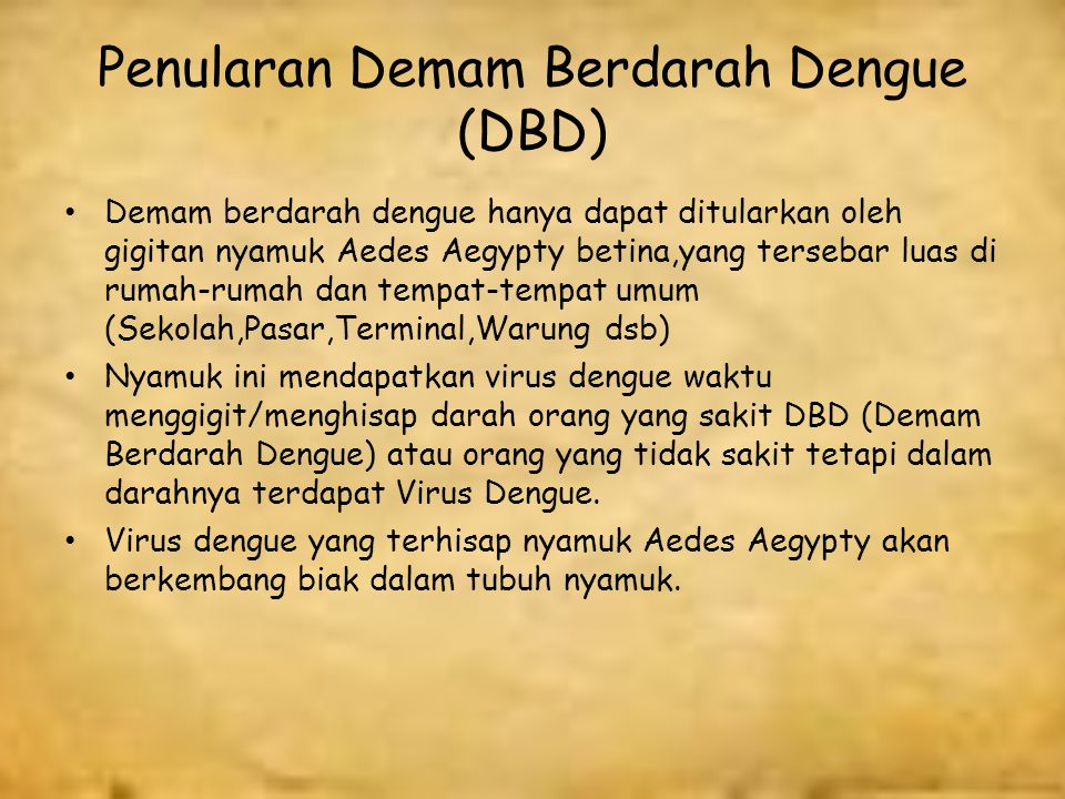 Penularan Demam Berdarah Dengue (DBD)