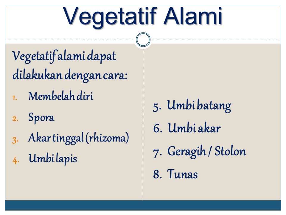 Vegetatif Alami Vegetatif alami dapat dilakukan dengan cara: