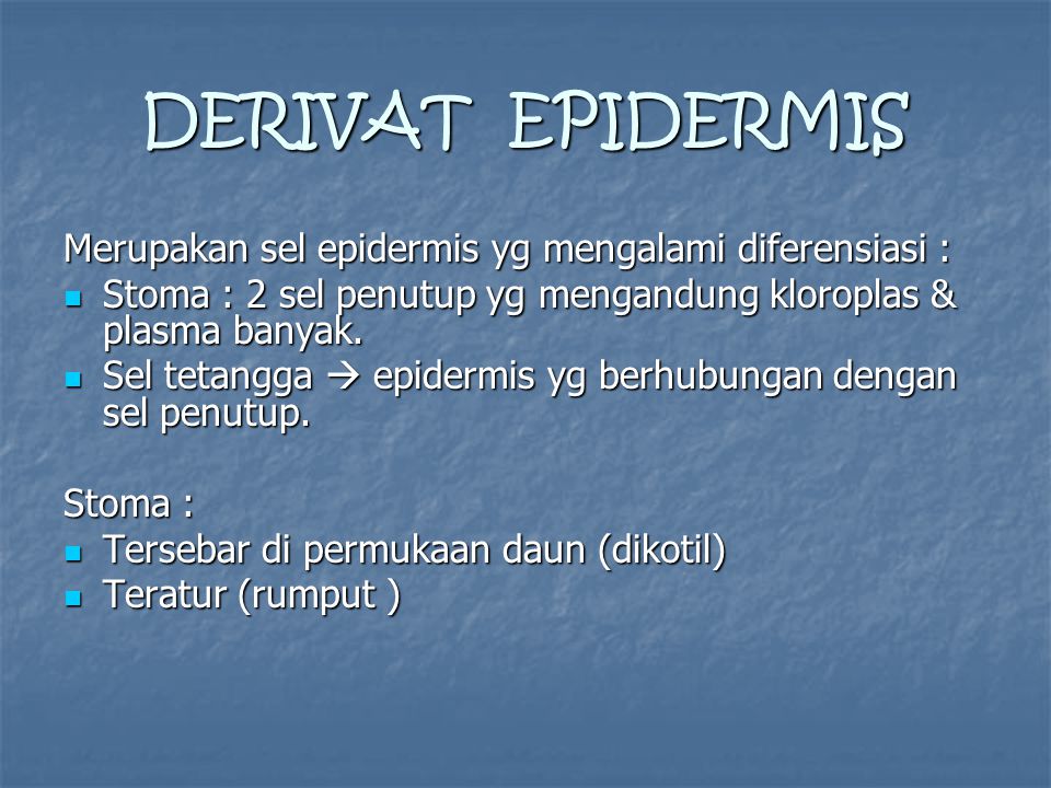 DERIVAT EPIDERMIS Merupakan sel epidermis yg mengalami diferensiasi :