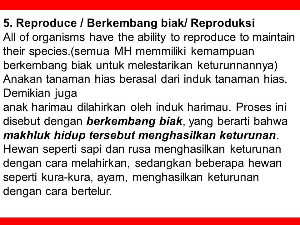 5. Reproduce / Berkembang biak/ Reproduksi
