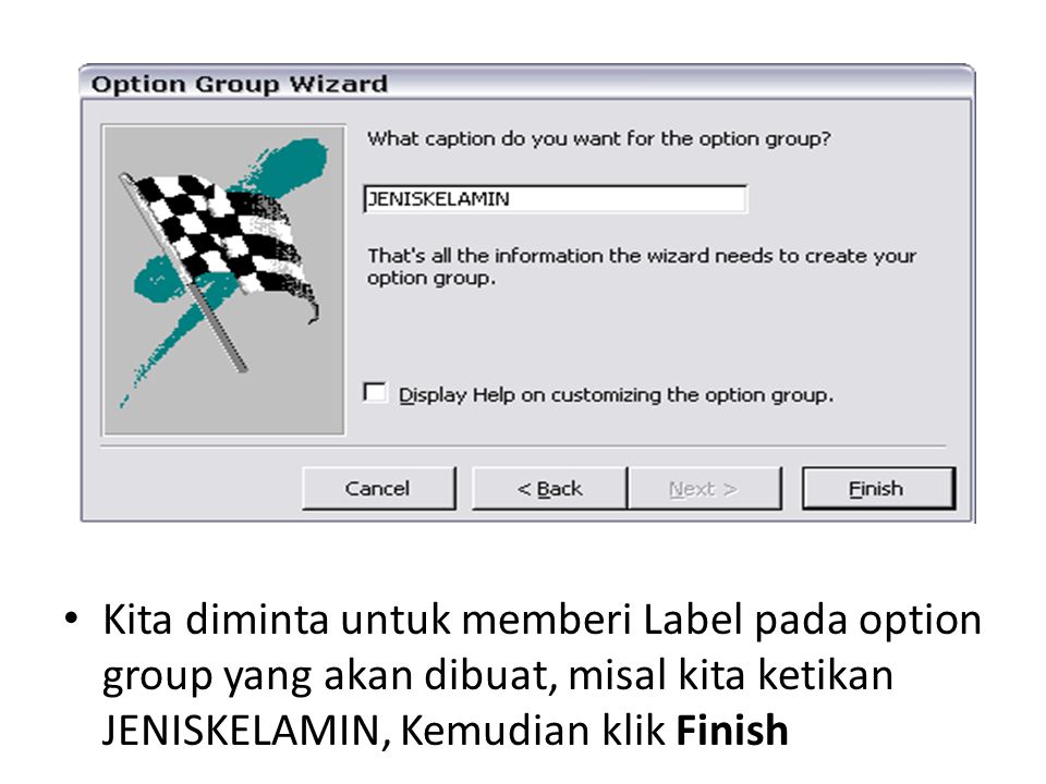 Kita diminta untuk memberi Label pada option group yang akan dibuat, misal kita ketikan JENISKELAMIN, Kemudian klik Finish