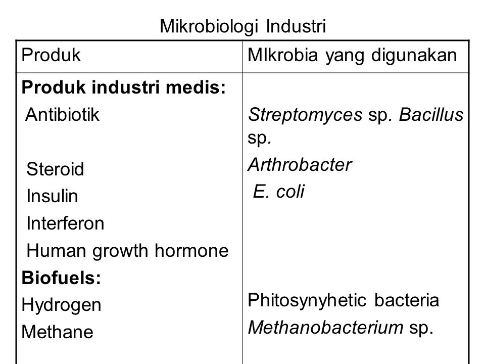Mikrobiologi Industri