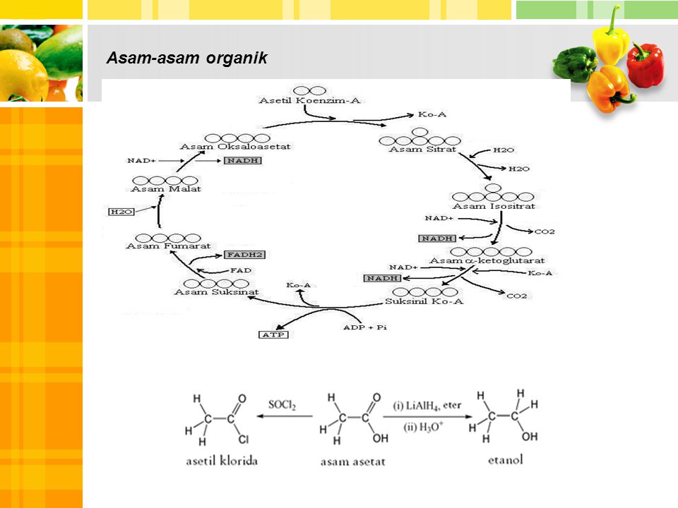 Asam-asam organik