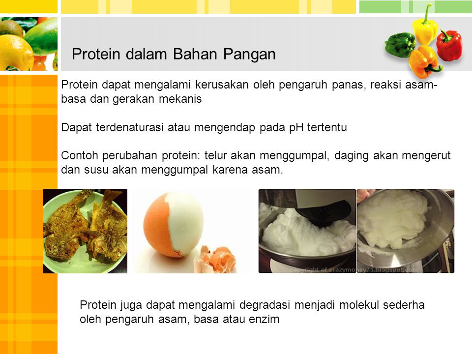 Protein dalam Bahan Pangan