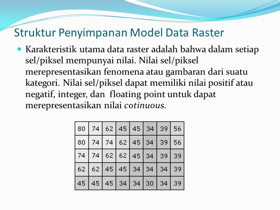 Struktur Penyimpanan Model Data Raster