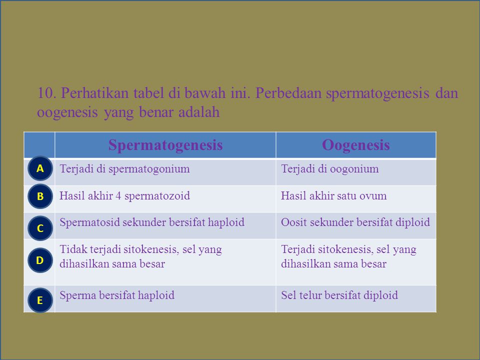Perbedaan Spermatogenesis Dan Oogenesis Dalam Bentuk Tabel Berbagi Bentuk Penting