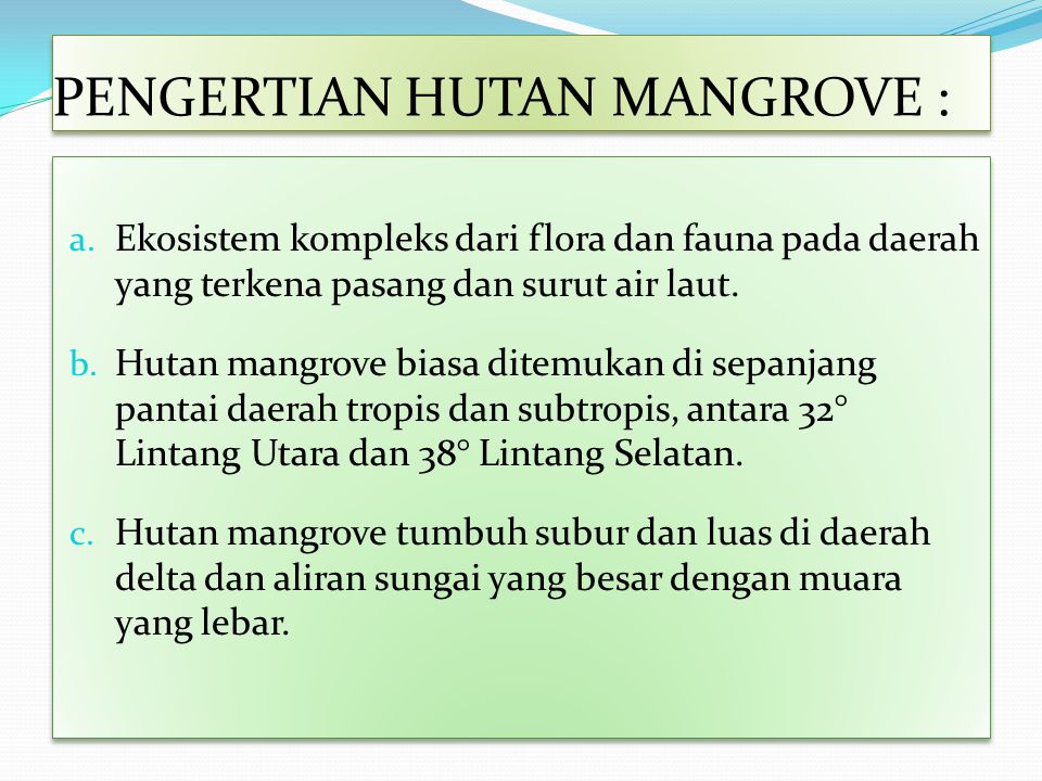 Pengertian Hutan Mangrove – Brain