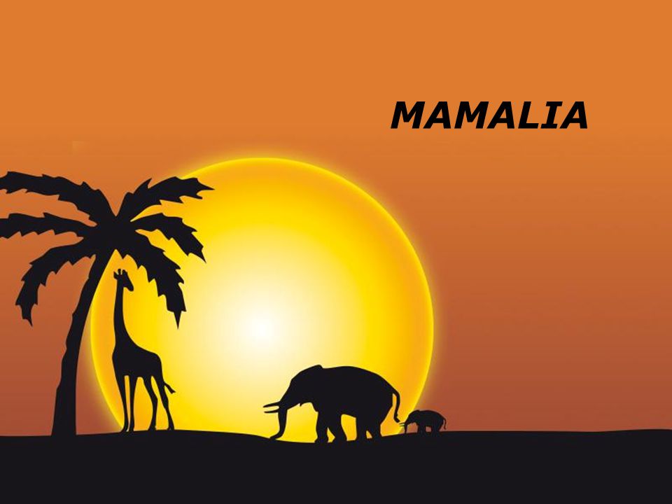 MAMALIA