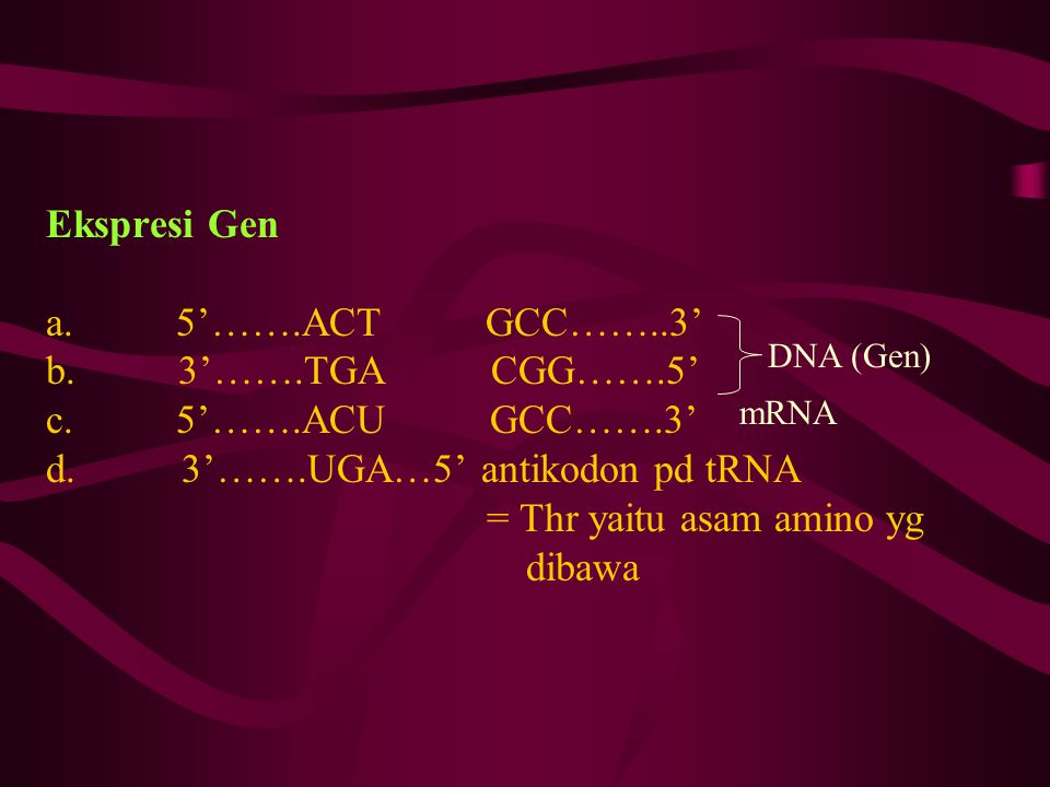 Ekspresi Gen a. 5’……. ACT GCC……. 3’ b. 3’……. TGA CGG……. 5’ c. 5’……