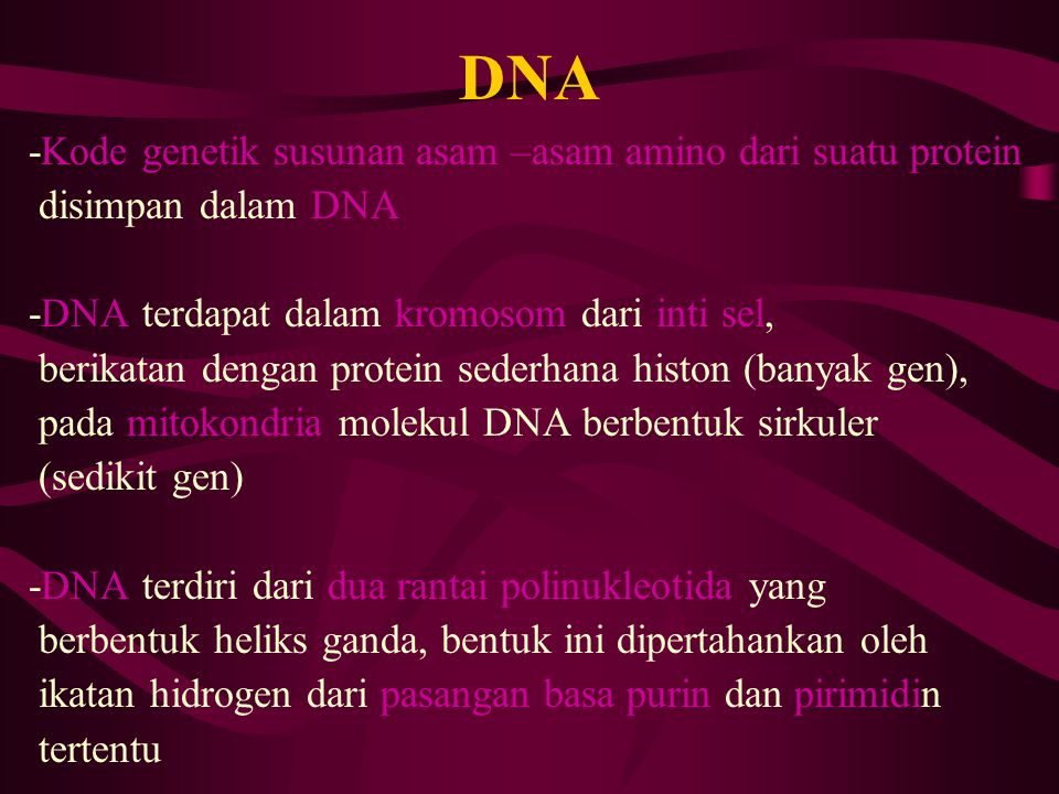 DNA -Kode genetik susunan asam –asam amino dari suatu protein