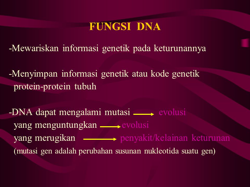 FUNGSI DNA -Mewariskan informasi genetik pada keturunannya