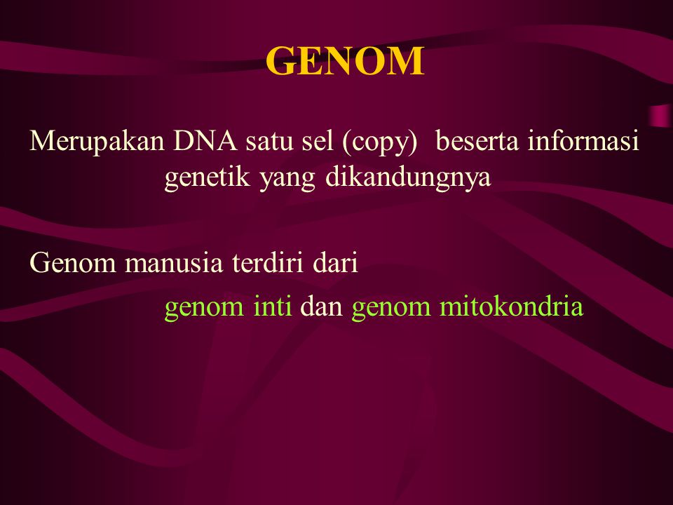 GENOM Merupakan DNA satu sel (copy) beserta informasi genetik yang dikandungnya. Genom manusia terdiri dari.