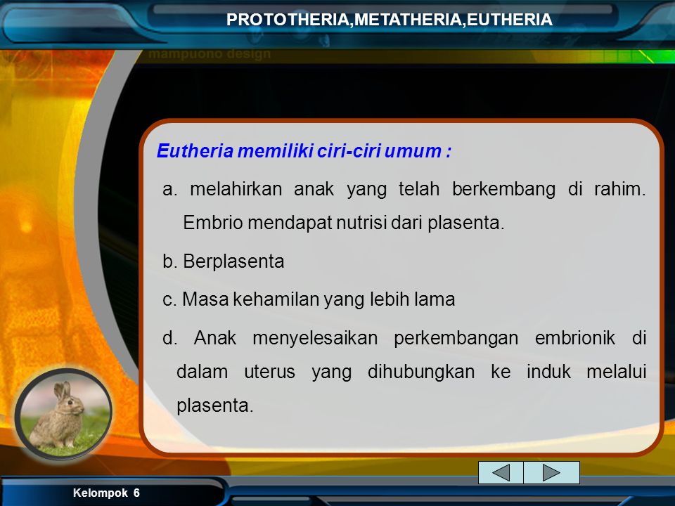 Eutheria memiliki ciri-ciri umum :