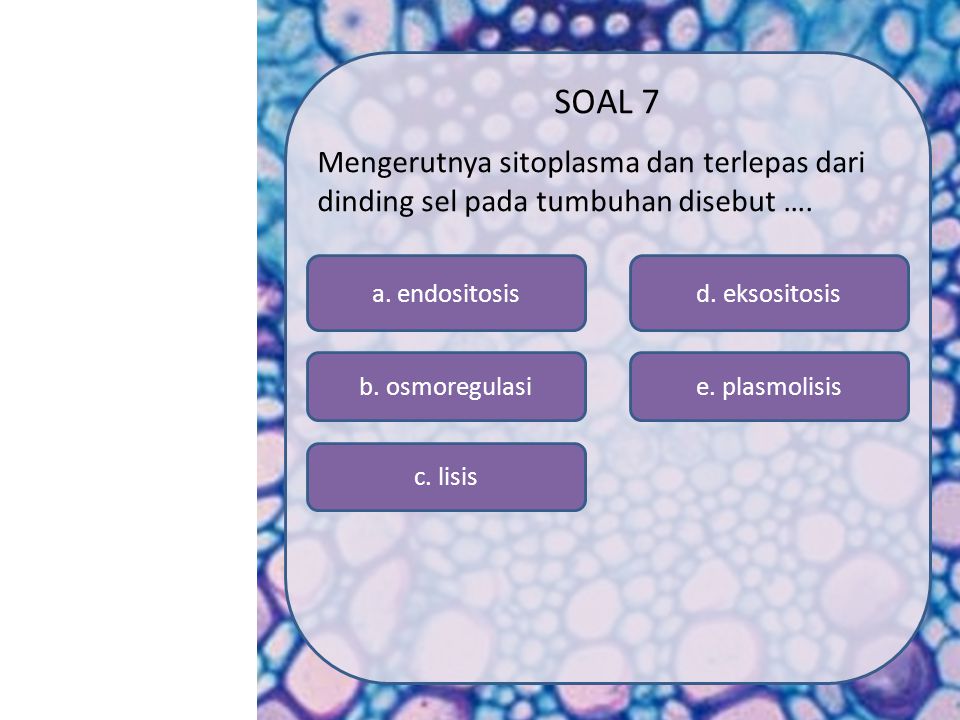 SOAL 7 Mengerutnya sitoplasma dan terlepas dari dinding sel pada tumbuhan disebut …. a. endositosis.