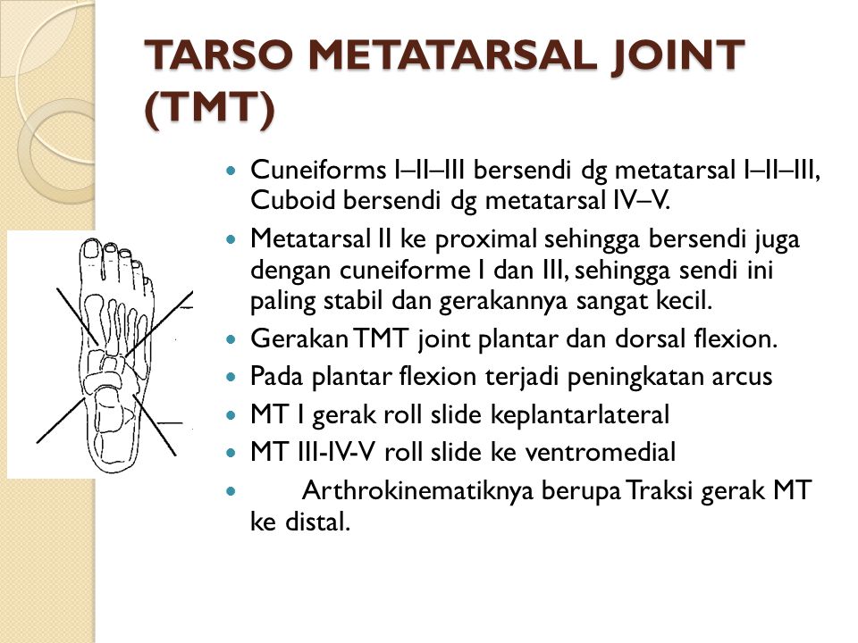 TARSO METATARSAL JOINT (TMT)