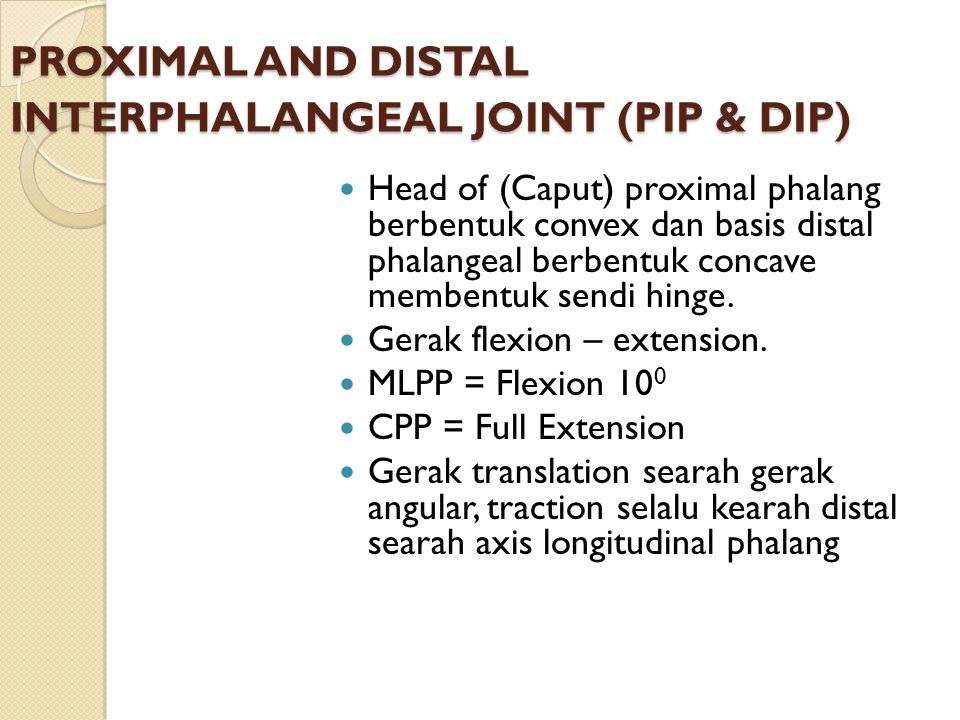 PROXIMAL AND DISTAL INTERPHALANGEAL JOINT (PIP & DIP)