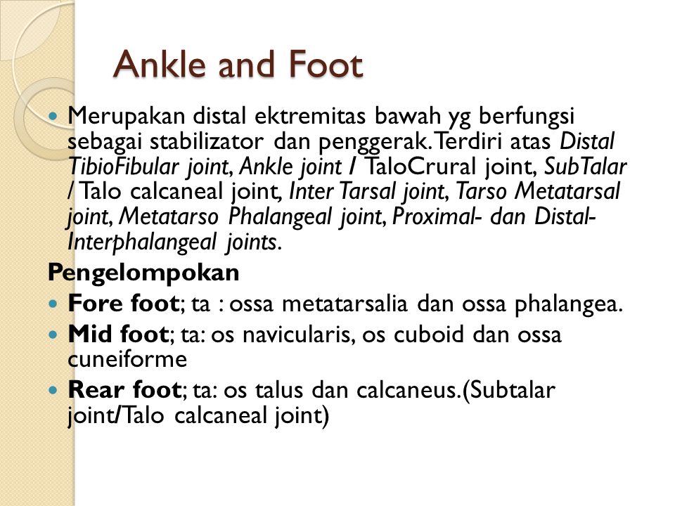 Ankle and Foot