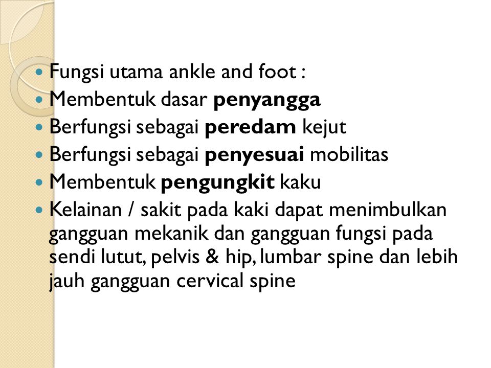 Fungsi utama ankle and foot :