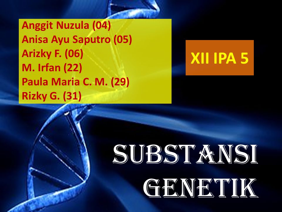 SUBSTANSI GENETIK XII IPA 5 Anggit Nuzula (04) Anisa Ayu Saputro (05)