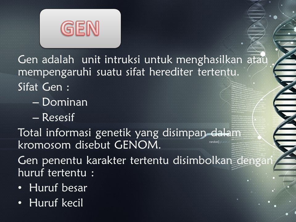 GEN Gen adalah unit intruksi untuk menghasilkan atau mempengaruhi suatu sifat herediter tertentu. Sifat Gen :