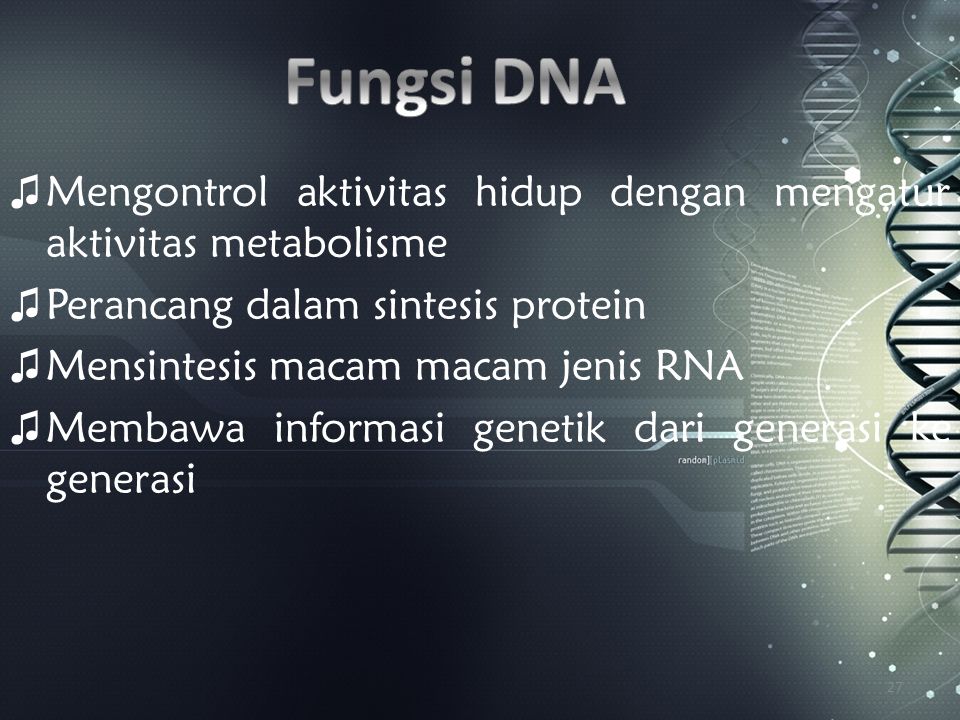 Fungsi DNA