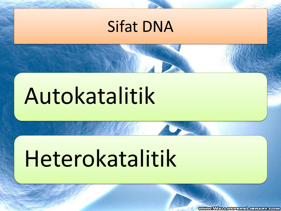Sifat DNA Autokatalitik Heterokatalitik